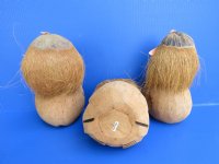 Wholesale Carved and Painted Coconut Pirate Playing Guitar - 6 pieces @ $3.90 each