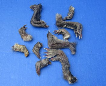 Wholesale North American Muskrat feet (assorted front and back), cured, 1 inch up to 3 inch straight length  - 10 pcs @ $1.00 each; 50 pcs @ $.90 each 