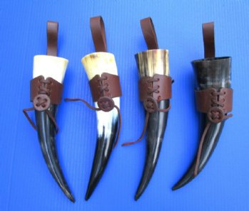 12 to 14 inch Wholesale Polished Buffalo Hanging drinking horn with horn holster - 2 pcs @ $9.50 each; 12 pcs @ 8.50 each