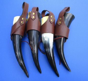 12 to 14 inch Wholesale Polished Buffalo Hanging drinking horn with horn holster - 2 pcs @ $9.50 each; 12 pcs @ 8.50 each