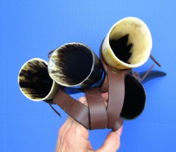 12 to 14 inch Wholesale Polished Buffalo Hanging drinking horn with horn holster - 2 pcs @ $9.50 each; 12 pcs @ 8.50 each