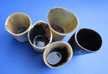 Wholesale Polished Cattle Horn Glass measuring 3" tall - 2 pcs @ $3.50 each; 20 pcs @ $3.15 each