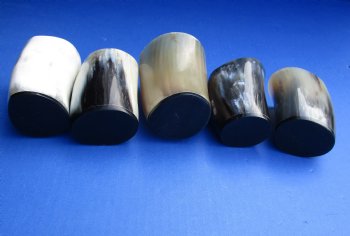 Wholesale Polished Cattle Horn Glass measuring 3" tall - 2 pcs @ $3.50 each; 20 pcs @ $3.15 each