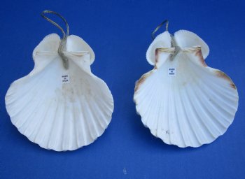 Wholesale Irish Deep Shell Angel Ornaments 4-1/4" tall - 10 pcs @ $1.80 each; 50 pcs @ $1.60 each