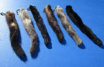 Wholesale Tanned Mink tails with ball chain,  9 to 11 inches long.  2 pcs @ $5.25 each; 12 pcs @ $4.65 each