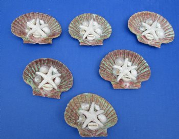 Wholesale Decorated Mexican Flat with starfish and seashells magnet, 3 to 3-1/2  inches - 10 pcs @ $1.10 each; 60 pcs @ $.99 each