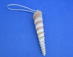 Wholesale Turritella shell ornament with crystal rhinestone close chain in silver color - 12 pcs @ $1.10 each; 60 pcs @ $.99 each