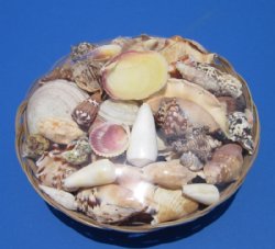 12 inches Round Wholesale Sea Shell Gift Baskets for Beach Wedding Centerpieces - 3 pcs @ $3.75 each  