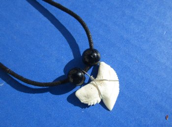 Wholesale 3/4" to 1" Large Tiger shark tooth on 18" black cord necklace - 10 pcs @ $2.30 each: 60 pcs @ $2.05 each