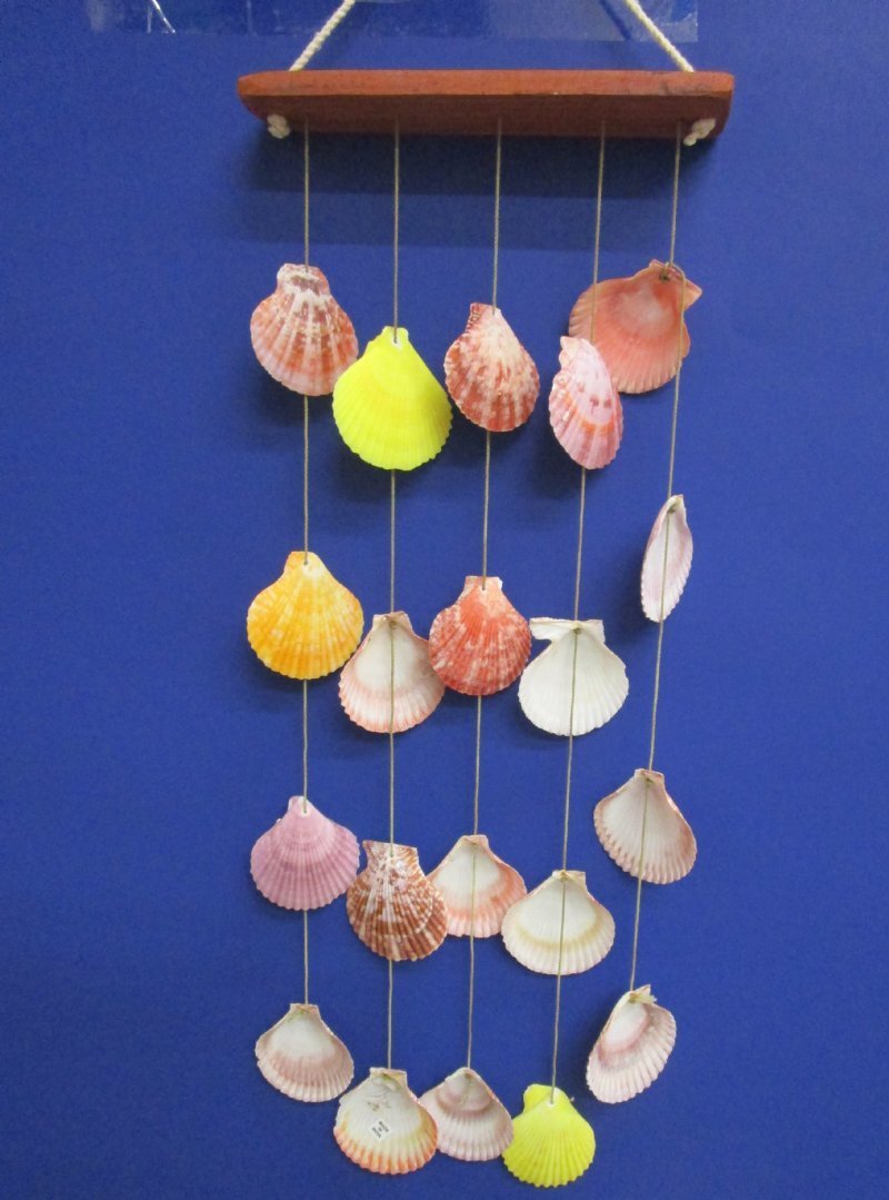 Hanging Seashells Photos and Images