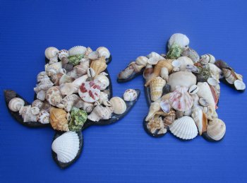 Wholesale 7-3/4 by 7-1/2 inches Seashell Wall Turtle hanger with natural shells - 2 pcs @ $4.75 each; 20 pcs @ $4.25 each