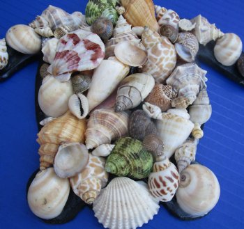 Wholesale 7-3/4 by 7-1/2 inches Seashell Wall Turtle hanger with natural shells - 2 pcs @ $4.75 each; 20 pcs @ $4.25 each