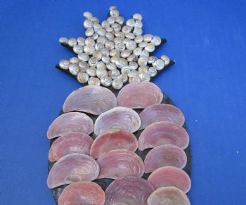 Wholesale 8 x 4 inches Seashell Wall Pineapple plaque with hanger - 4 pcs @ $2.75 each; 24 pcs @ 2.45 each